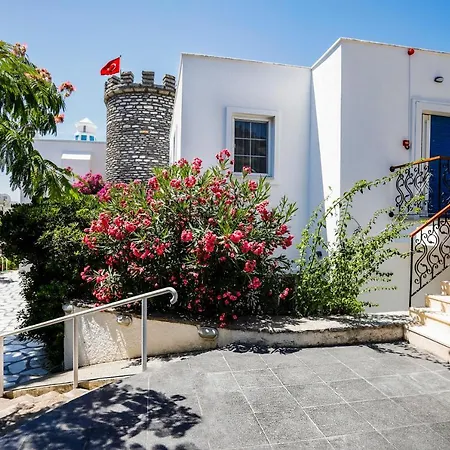 Flag +12 Отель *